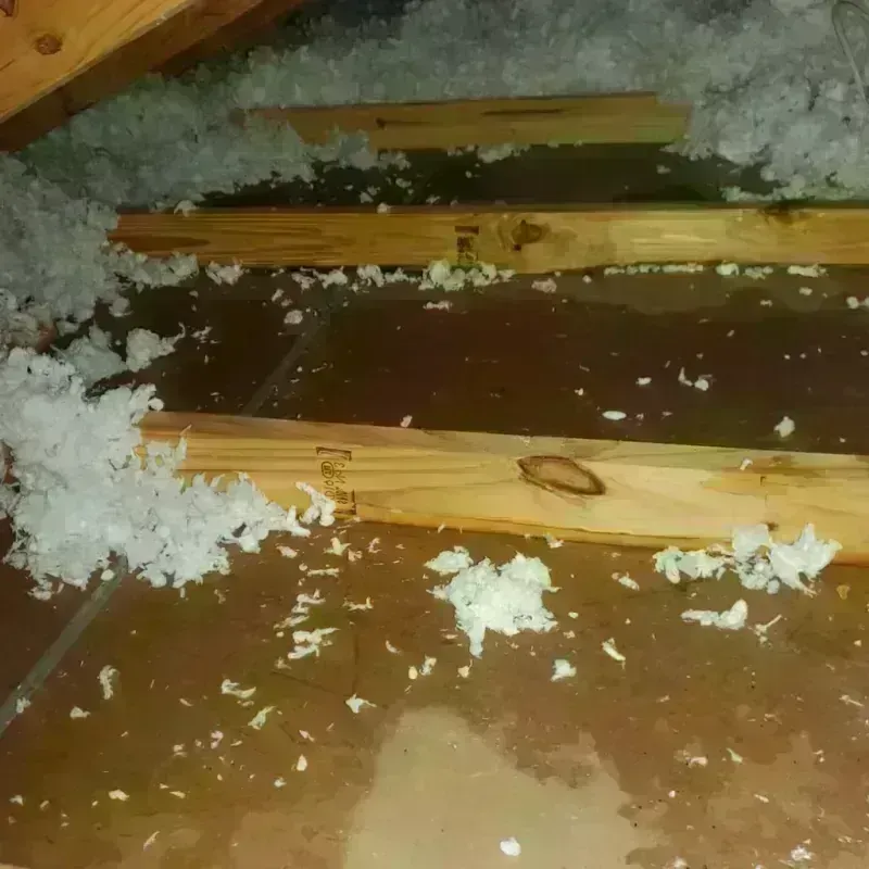 Attic Water Damage in Tazewell County, VA